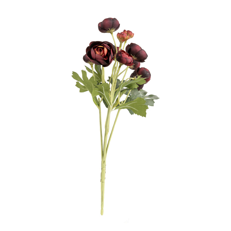 Gerviblóm Burgundy