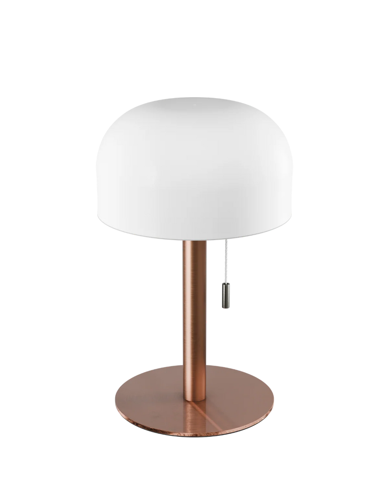 Led lampi 25cm