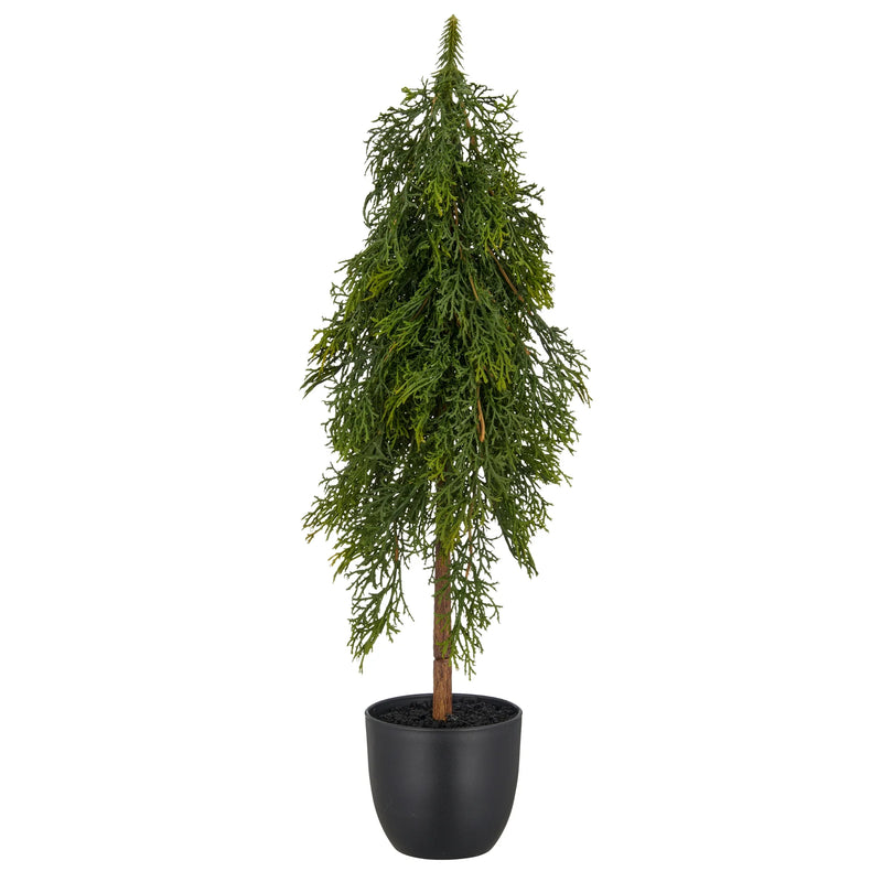 Tré Cypress