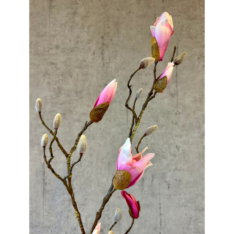 Gerviblóm Magnolia rós