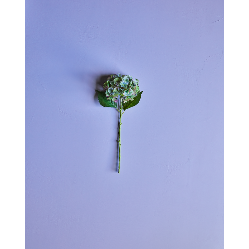 Gerviblóm Hydrangea græn/blá