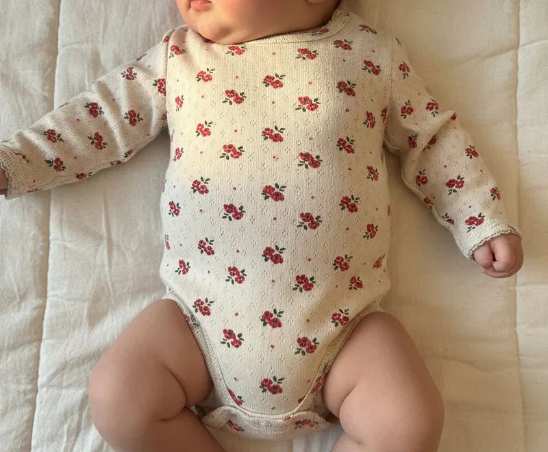 Samfella Autumn bloom