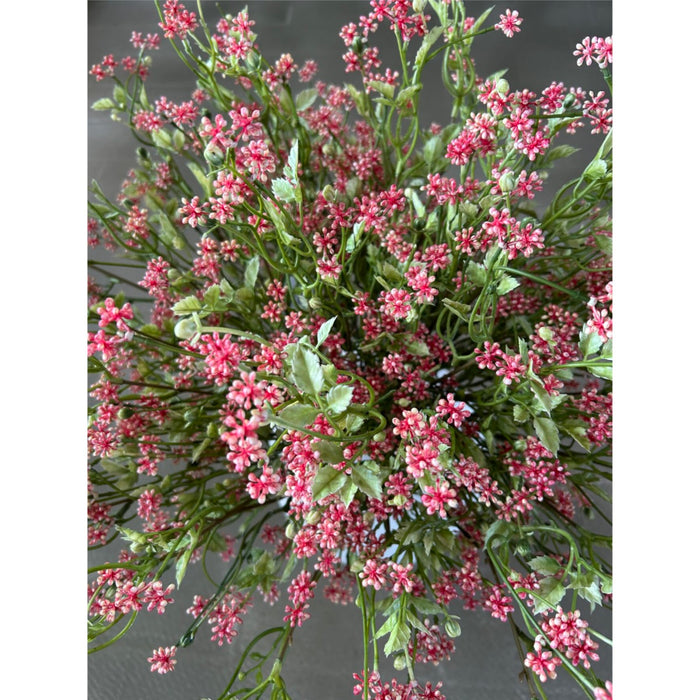 Gerviblóm pumila 2 litir