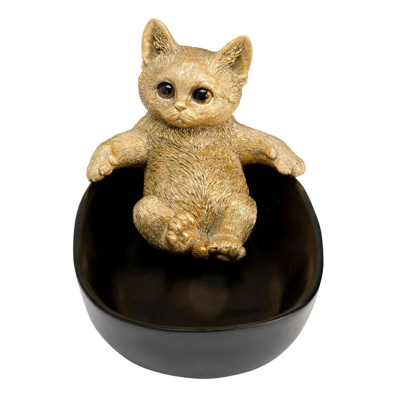 Skál Bathing cat