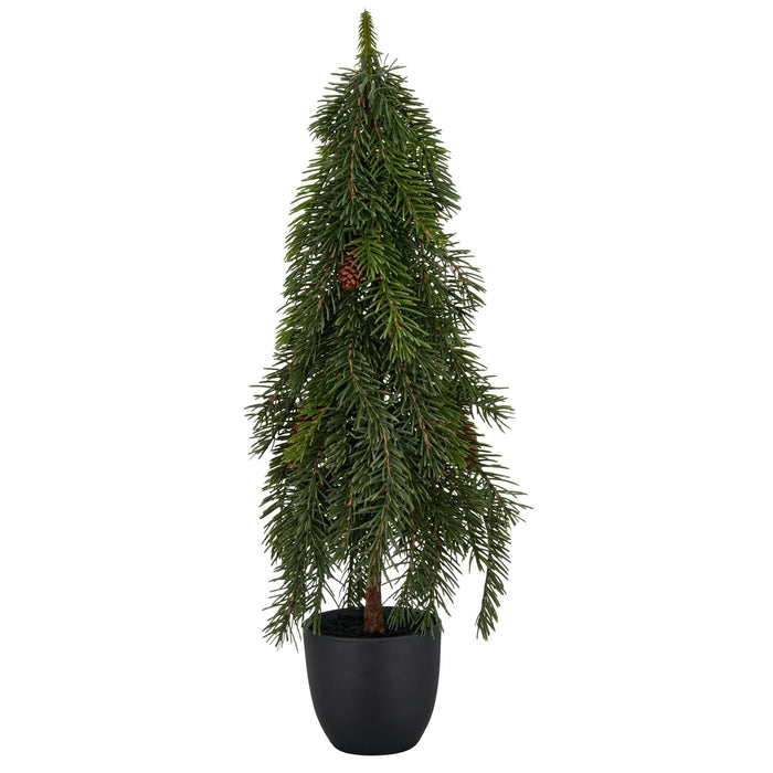 Grenitré í potti 60cm