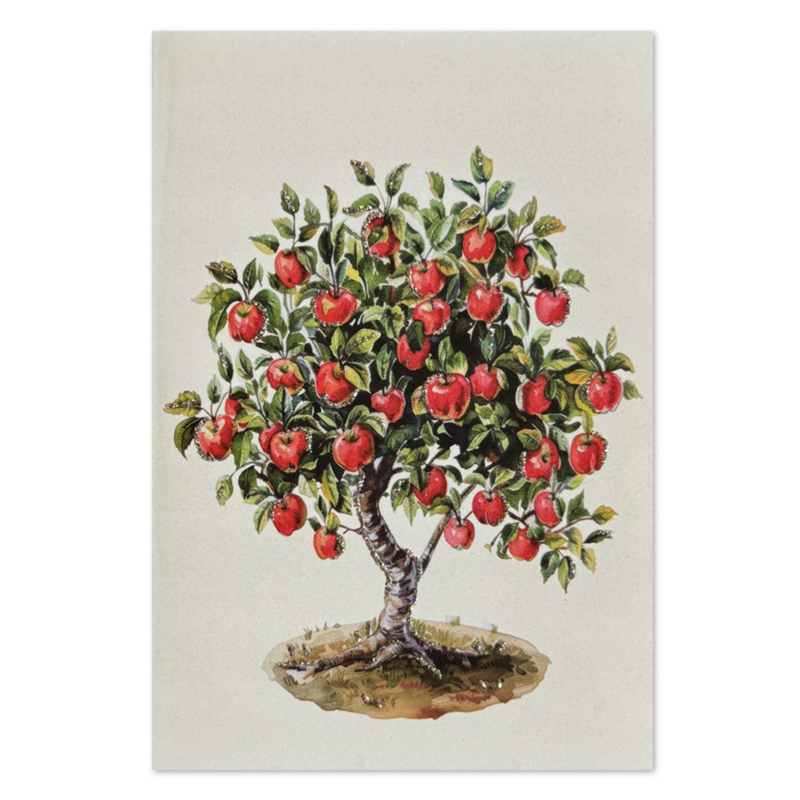 Kort Apple tree