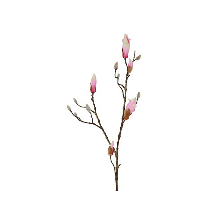 Gerviblóm Magnolia rós