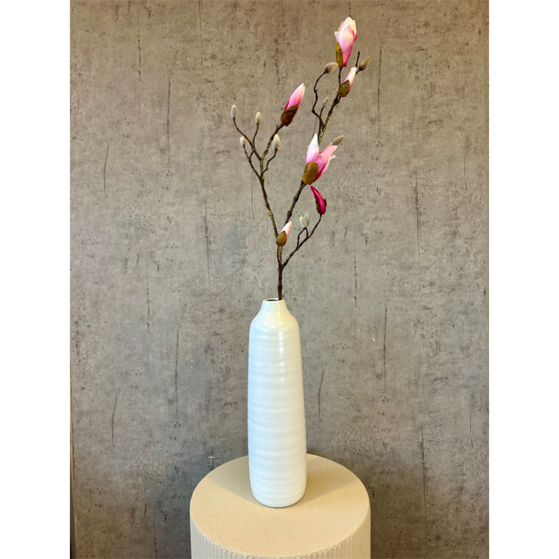 Gerviblóm Magnolia rós
