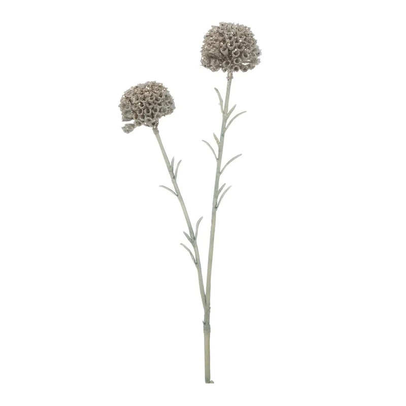 Gerviblóm Marigold