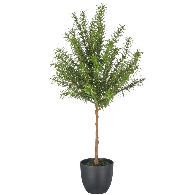 Gerviblóm Rosmarín 60cm