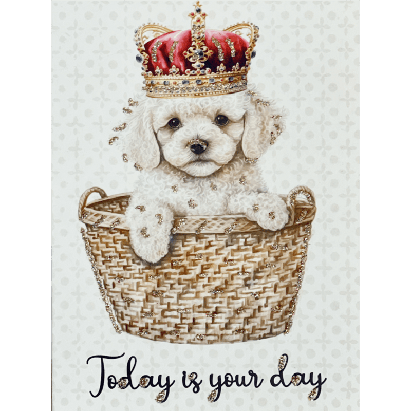 Kort "today is your day"