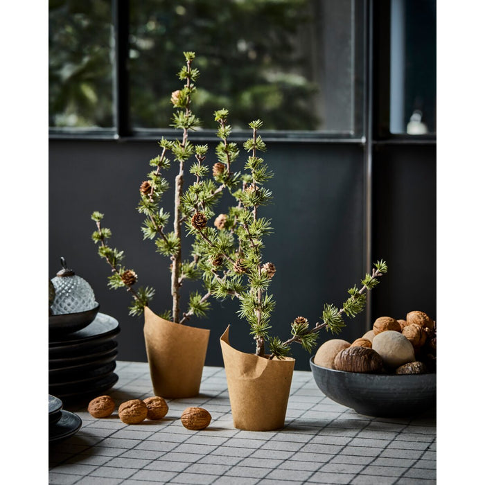 Jólatré Stey 2 stærðir