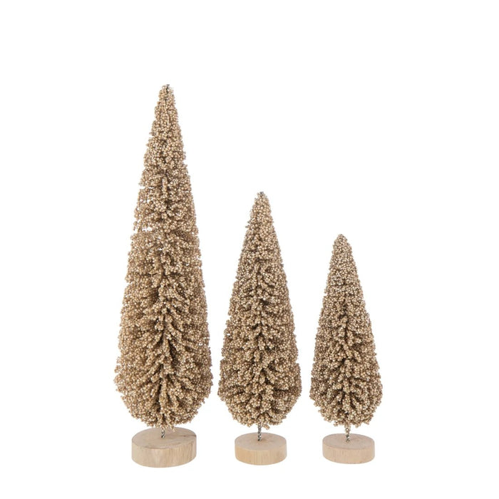 Jólatré Champagne 3 stærðir