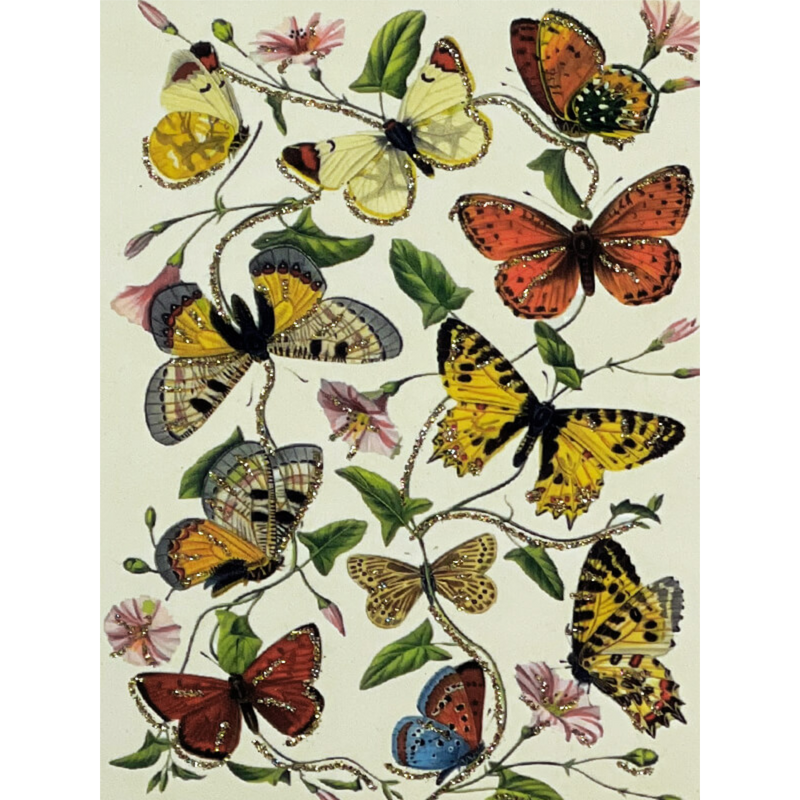 Kort butterflies