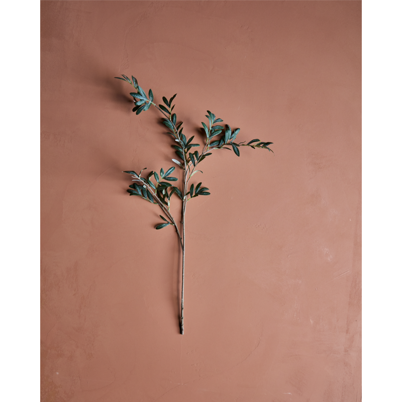 Gervigrein Olive