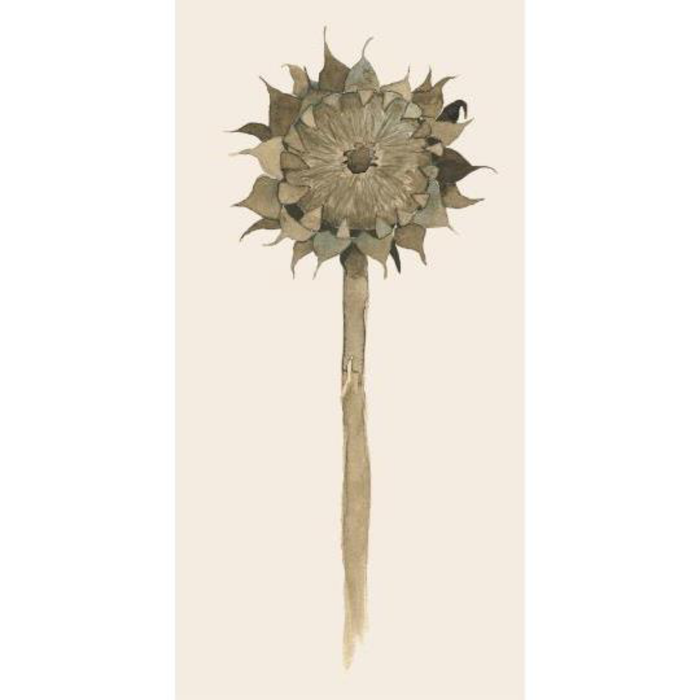 Servíettur Sunflower in decay