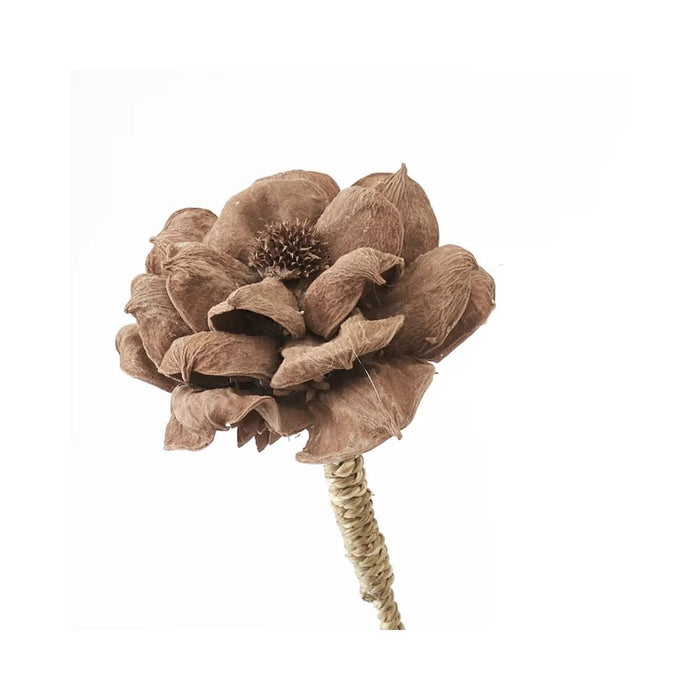 Gerviblóm Flore Orchid