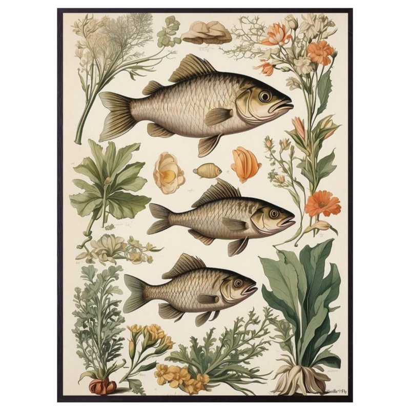 Mynd vivid fish 30x40cm