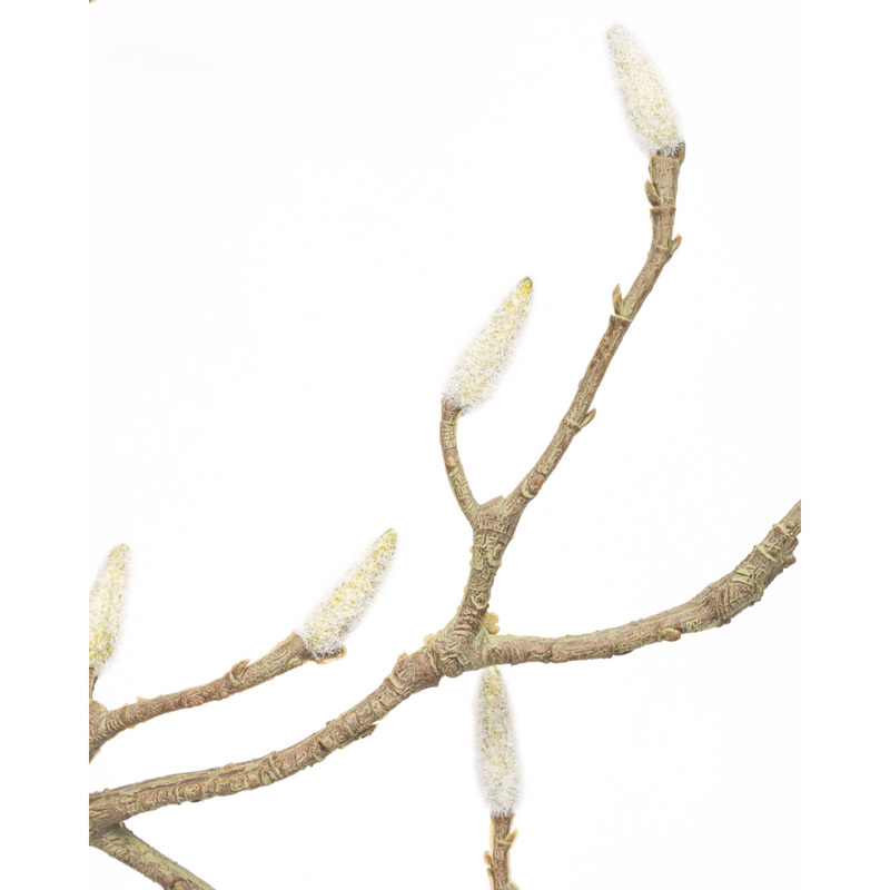 Gerviblóm Magnolia