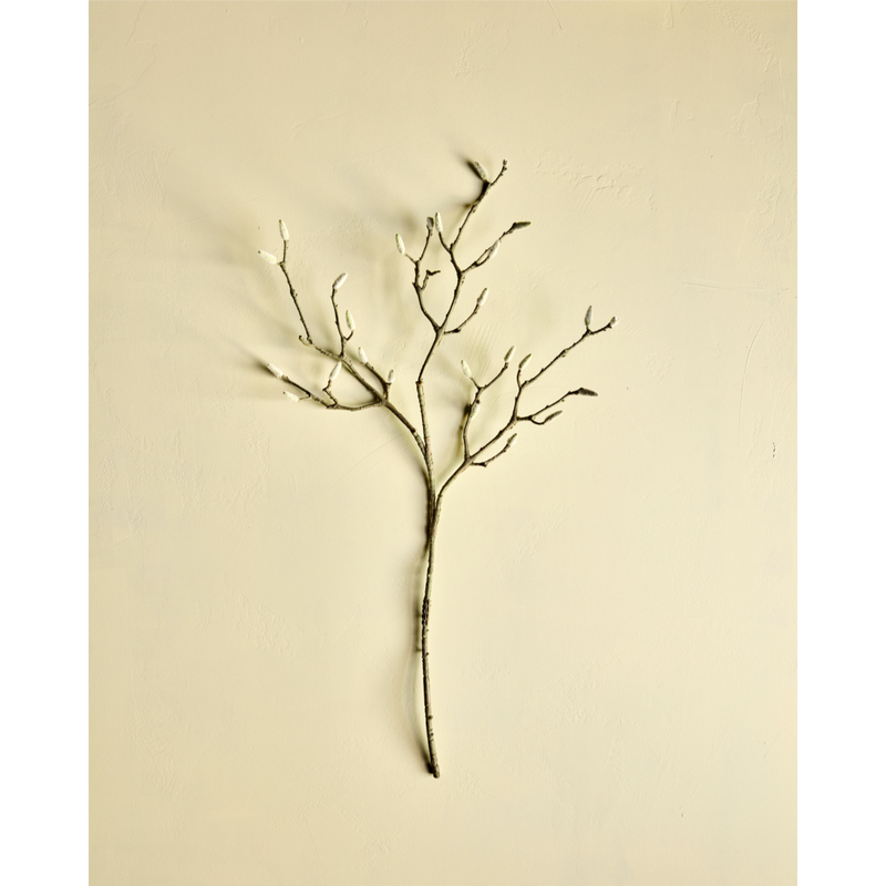 Gerviblóm Magnolia