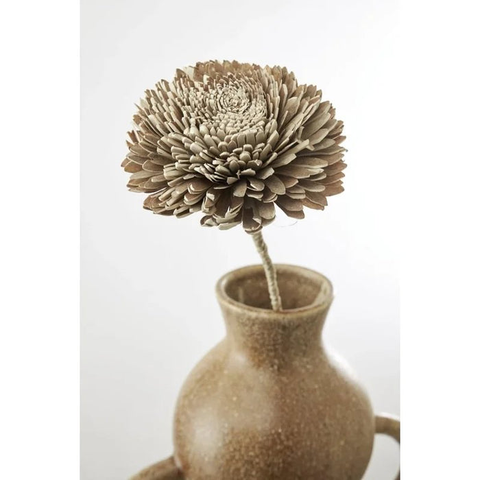 Gerviblóm Flore Zinnia