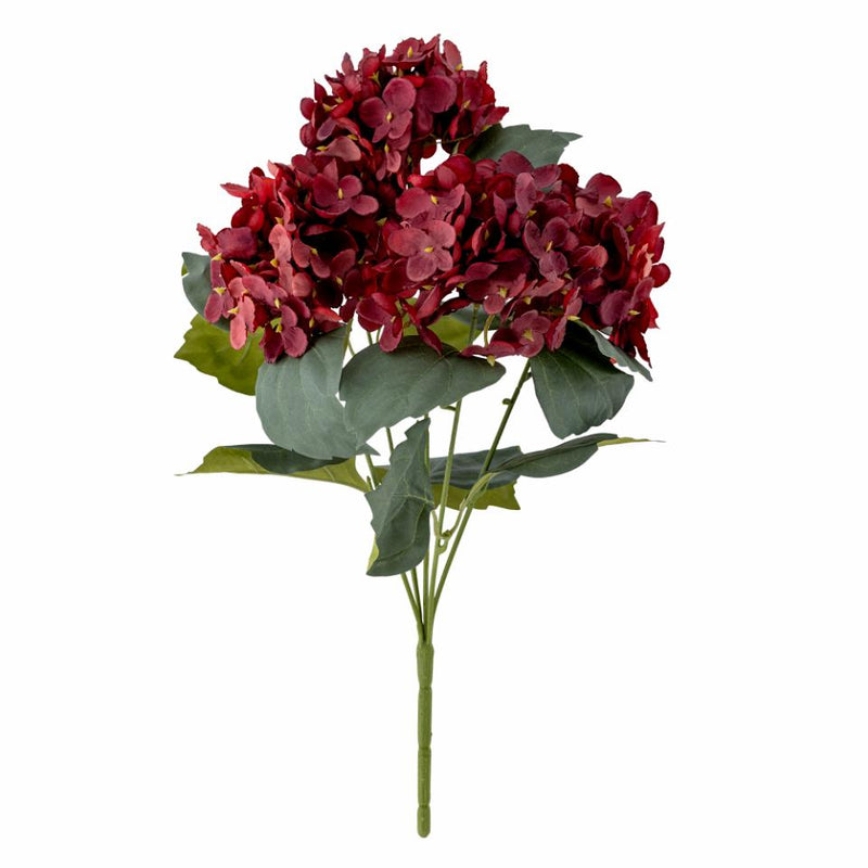 Gerviblóm hortensía rauð