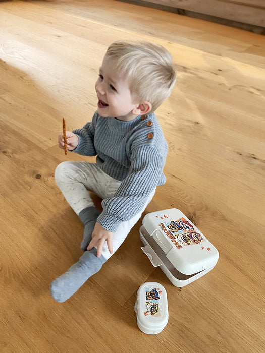 Nestisbox Hvolpasveit mini