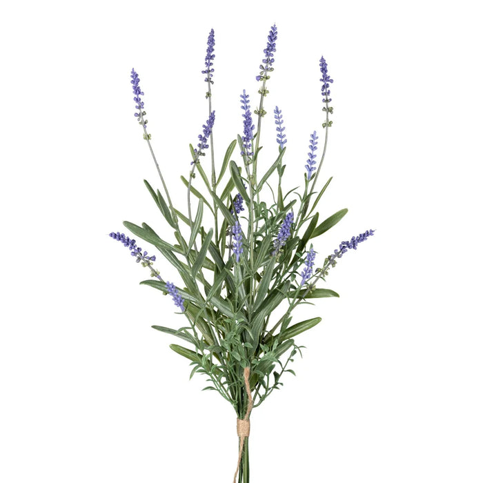 Gerviblóm Lavender