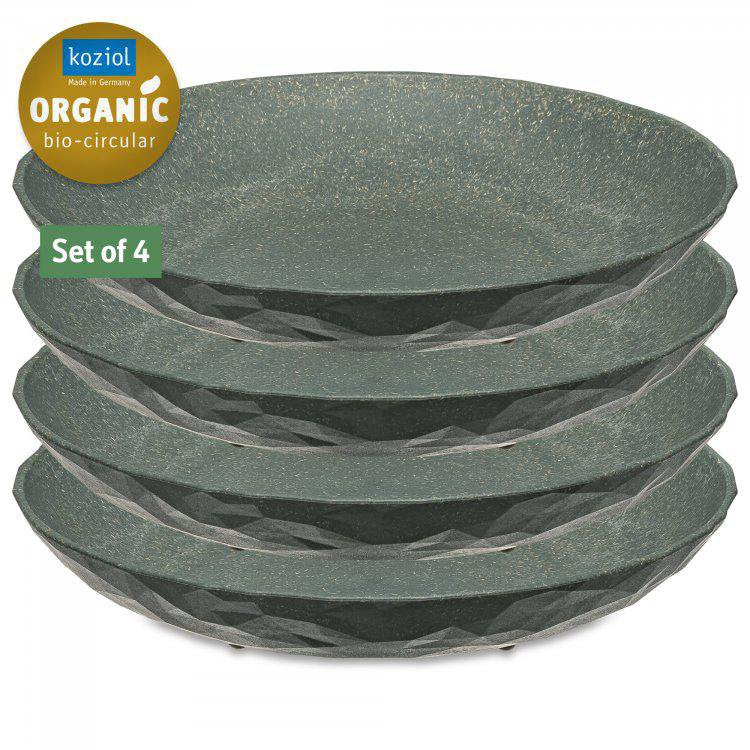 Diskur 22cm 4 stk 2 litir