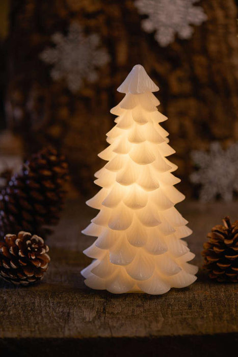 Led tré Carla 3 stærðir