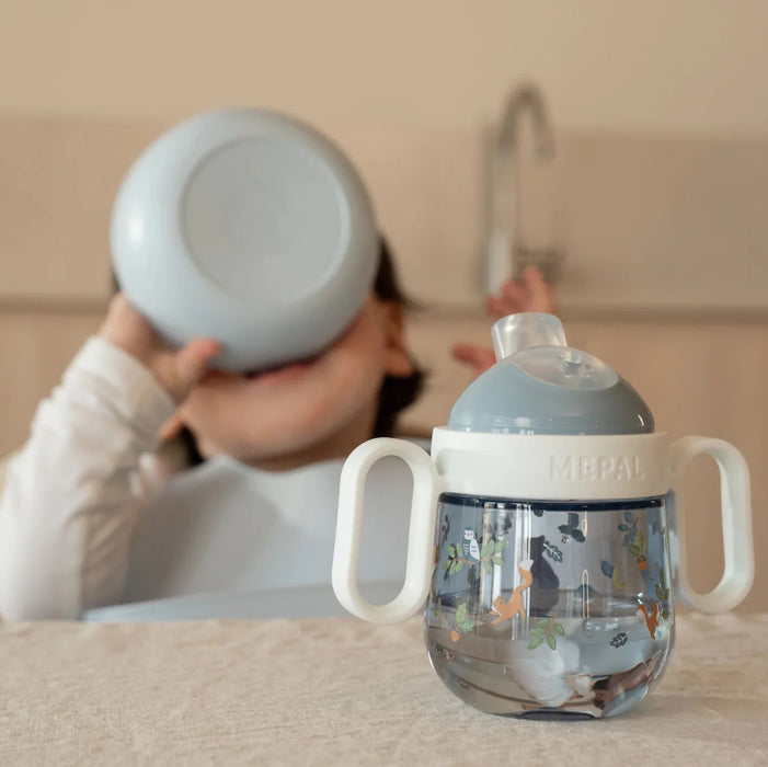 Stútkanna mio 3 tegundir